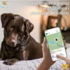 GPS lokator Pet D10, uređaj za praćenje kućnih ljubimaca sa jednostavnom instalacijom i velikom preciznošću.