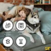 GPS tracker Pet D30 za praćenje ljubimaca