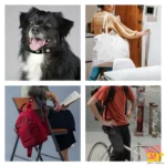 GPS Lokator Pet D30