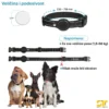 GPS tracker Pet D40, uređaj za sigurno praćenje kućnih ljubimaca sa dugotrajnim trajanjem baterije i jednostavnom instalacijom.