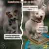 GPS tracker Pet D50, efikasan uređaj sa dugim trajanjem baterije, dizajniran za praćenje kućnih ljubimaca.